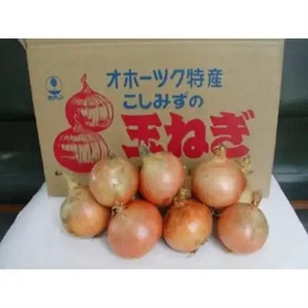 北海道小清水町産 玉ねぎ20kg 甘み豊か 産地直送【1763299】