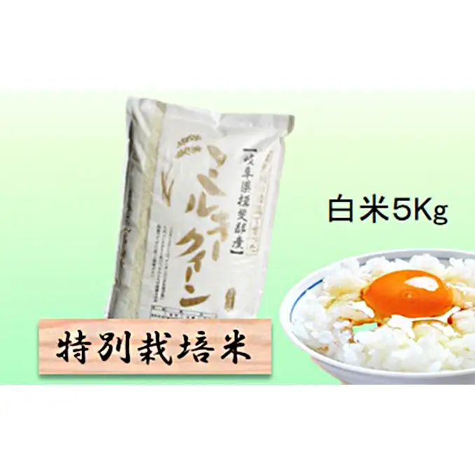 特別栽培米 【 令和8年産 】 白米 5kg 【 ミルキークイーン 】