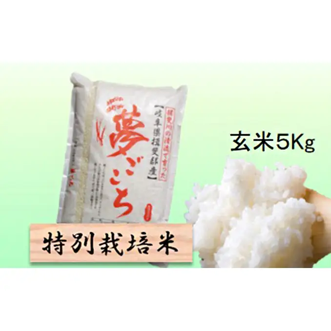 特別栽培米 【 令和8年産 】 玄米 5kg 【 夢ごこち 】