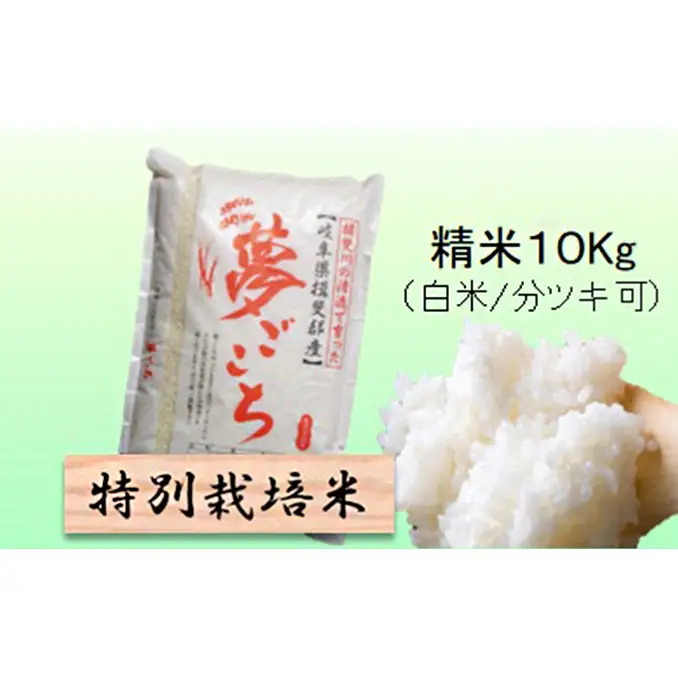特別栽培米 【 令和8年産 】 精米 10kg（白米/5分/7分ツキ可）【 夢ごこち 】玄米は別に出品