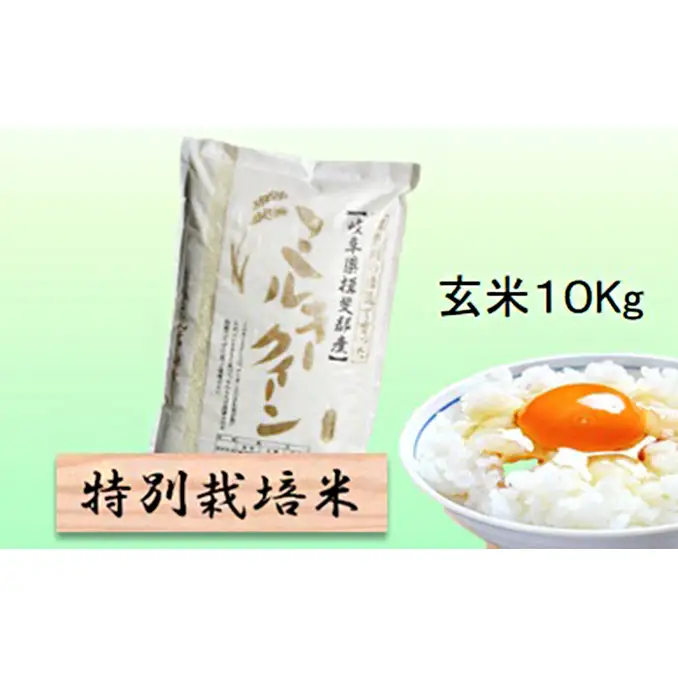 特別栽培米 【 令和8年産 】 玄米 10kg 【 ミルキークイーン 】