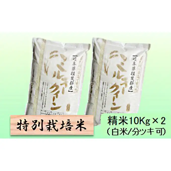 特別栽培米 【 令和8年産 】 精米 20kg（白米/5分/7分ツキ可）【 ミルキークイーン 】玄米は別に出品