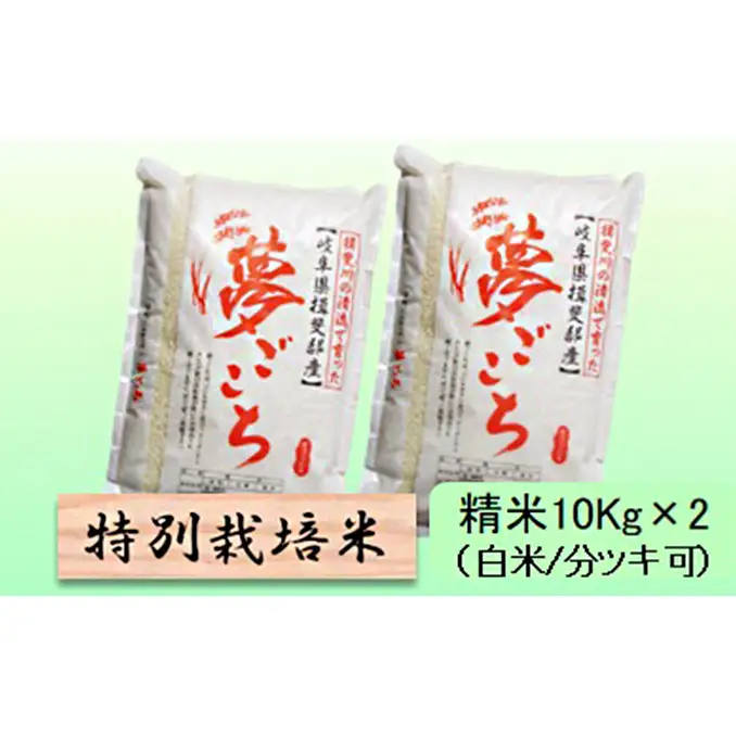 特別栽培米 【 令和8年産 】 精米 20kg（白米/5分/7分ツキ可）【 夢ごこち 】玄米は別に出品