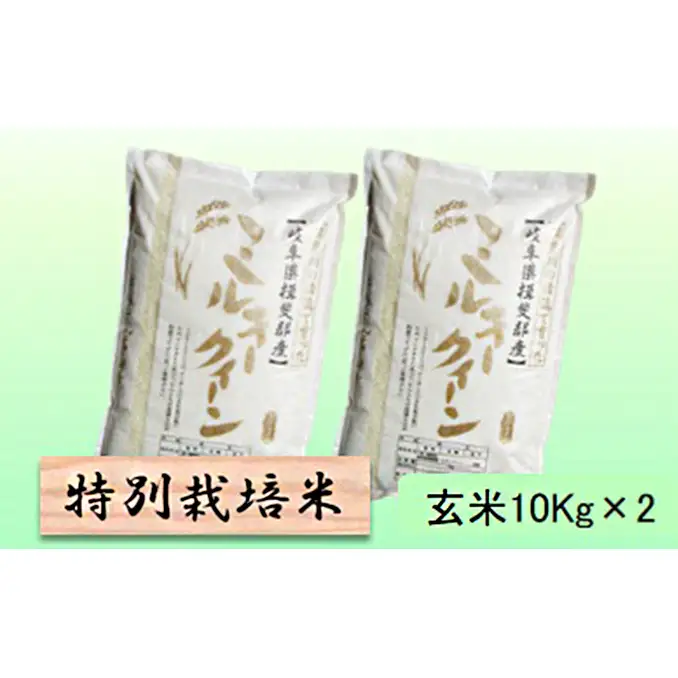特別栽培米 【 令和8年産 】 玄米 20kg【 ミルキークイーン 】