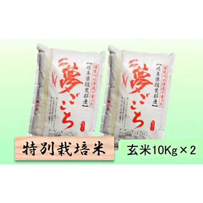 特別栽培米 【 令和8年産 】 玄米 20kg【 夢ごこち 】