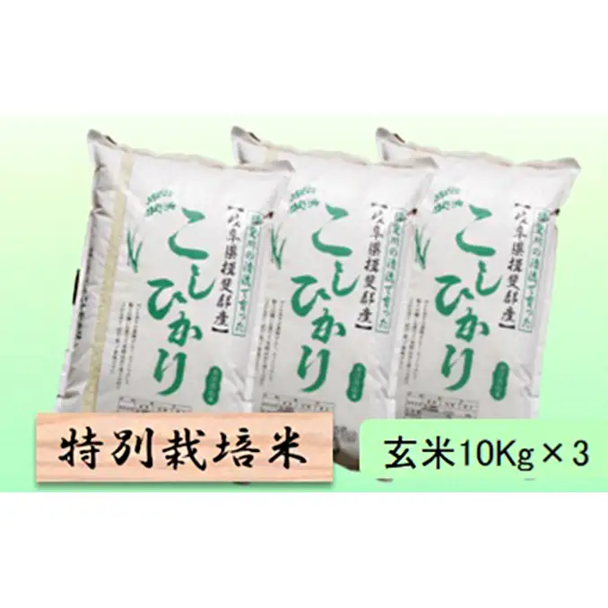 特別栽培米 【 令和8年産 】 玄米 30kg【 コシヒカリ 】