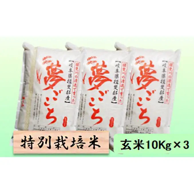 特別栽培米 【 令和8年産 】 玄米 30kg【 夢ごこち 】