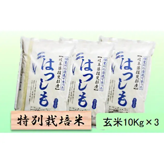 特別栽培米 【 令和8年産 】 玄米 30kg【 ハツシモ 】
