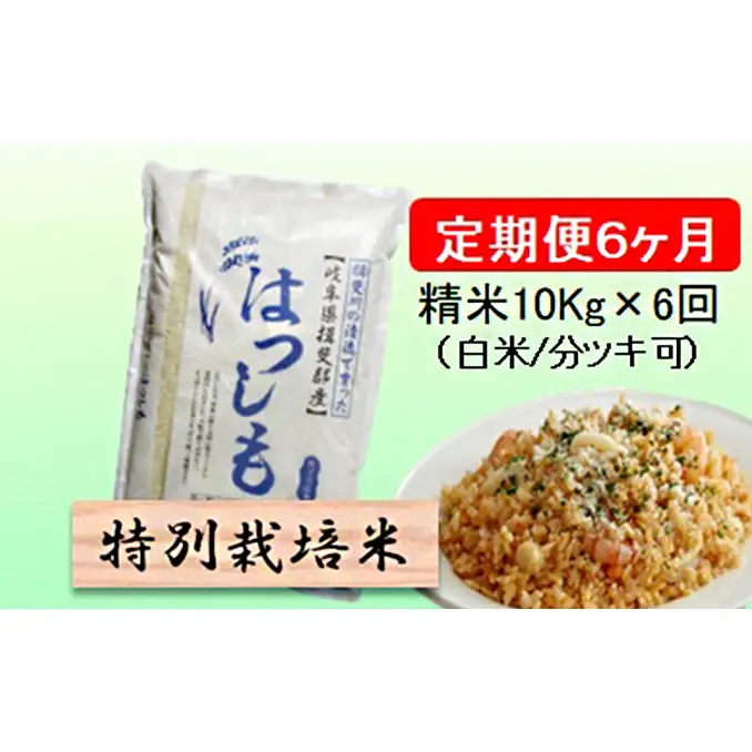 定期便 6カ月【 令和8年産 】毎月  精米 10kg（ 白米 /7分/ 5分 ツキ可）【 ハツシモ 】玄米は別に出品