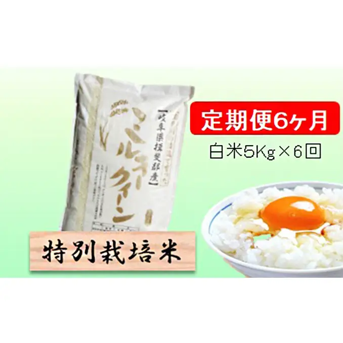 定期便 6カ月【 令和8年産 】毎月  白米 5kg【 ミルキークイーン 】