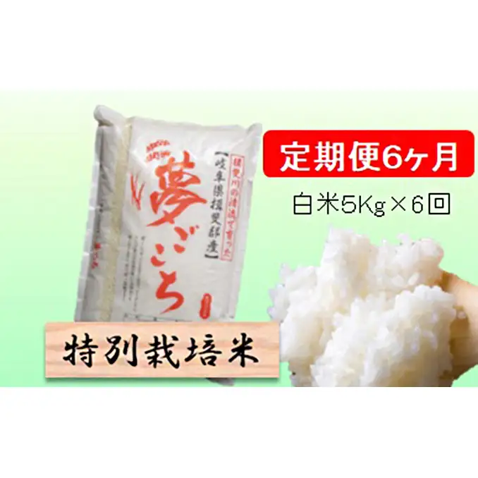 定期便 6カ月【 令和8年産 】毎月  白米 5kg【 夢ごこち 】