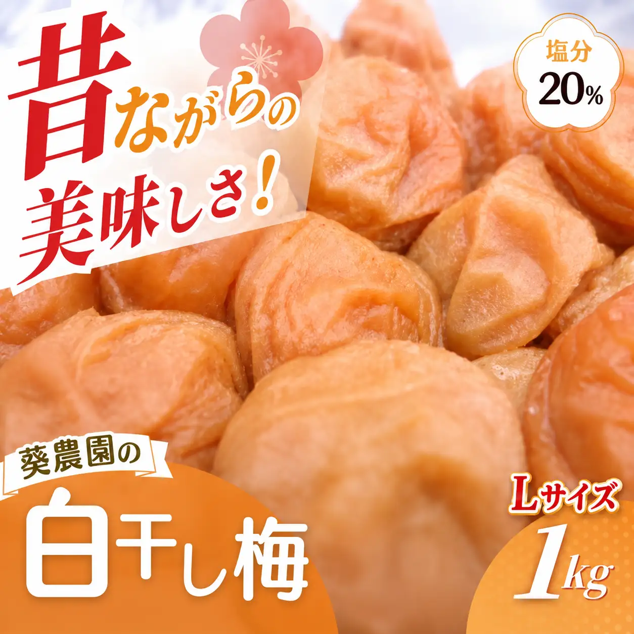 紀州南高梅 白干し南高梅干し 1kg Lサイズ 塩分20％ 添加物不使用 / 梅 うめ ウメ 梅干し 梅干 白干し 南高梅 紀州南高梅 和歌山県 田辺市 【aoi025】 