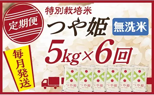 【定期便】【無洗米】令和8年産 山形県産 つや姫 5kg 6回配送　【初回R9年1月発送】