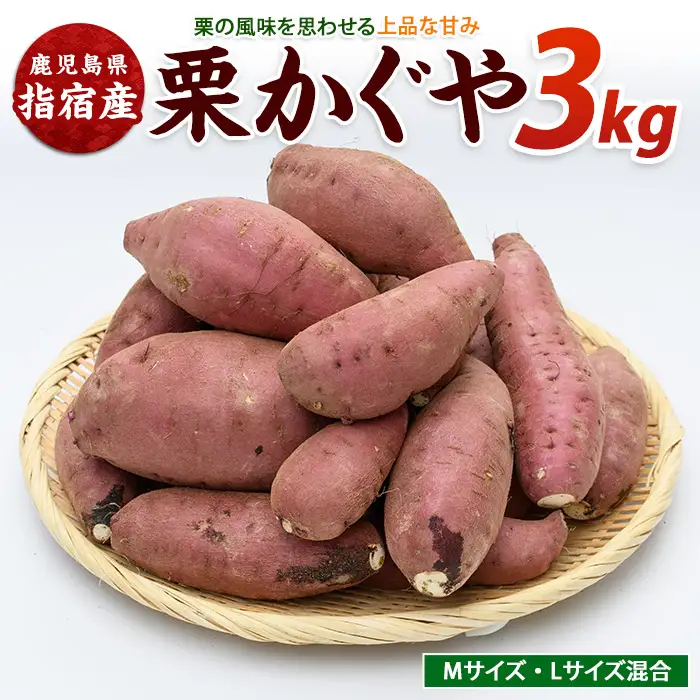 さつまいも 栗かぐや 約3kg サツマイモ IB084-004