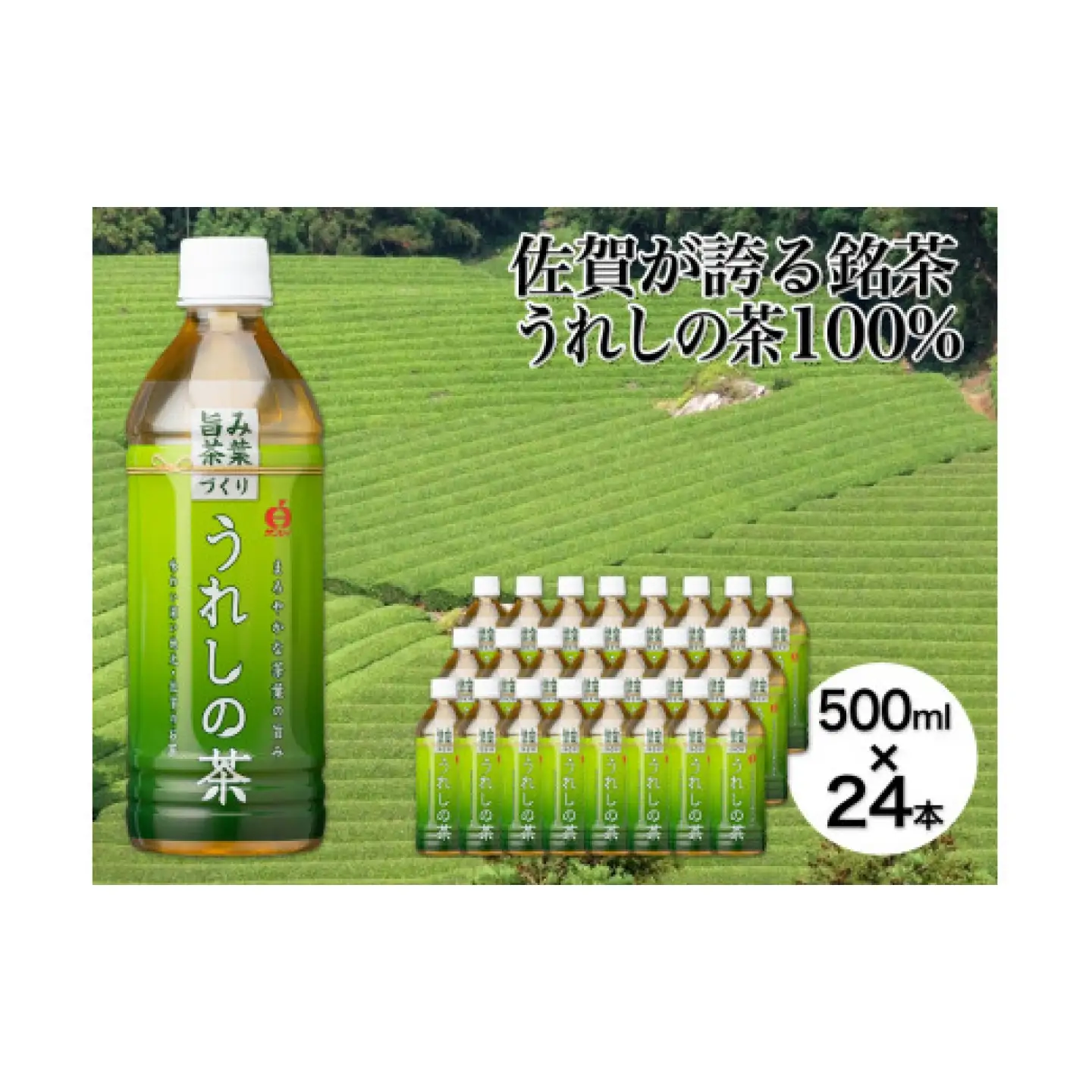 うれしの茶 500ml×24本入 / お茶 緑茶 嬉野茶 ペットボトル / 佐賀県 / さが風土館季楽[41AABE106]