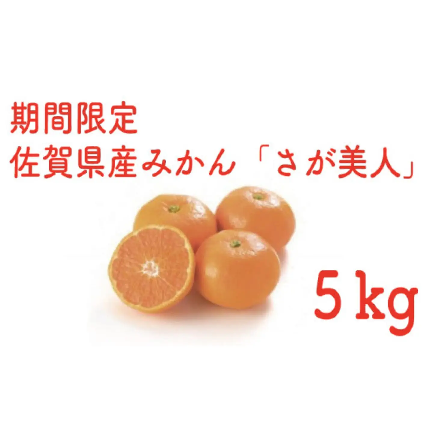 【2026年11月以降発送】佐賀県産みかん「さが美人」 約5kg / 蜜柑 みかん 柑橘 果物 / 佐賀県 / さが風土館季楽[41AABE119]