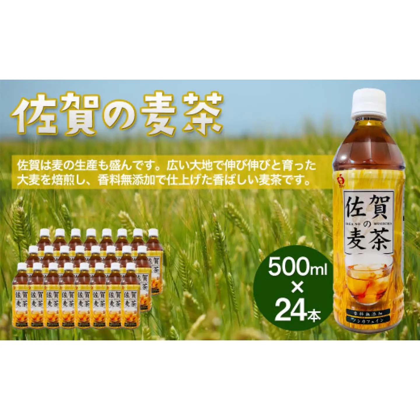 佐賀の麦茶 500ml×24本 / 麦茶 お茶 水分補給 ペットボトル / 佐賀県 / さが風土館季楽[41AABE124]