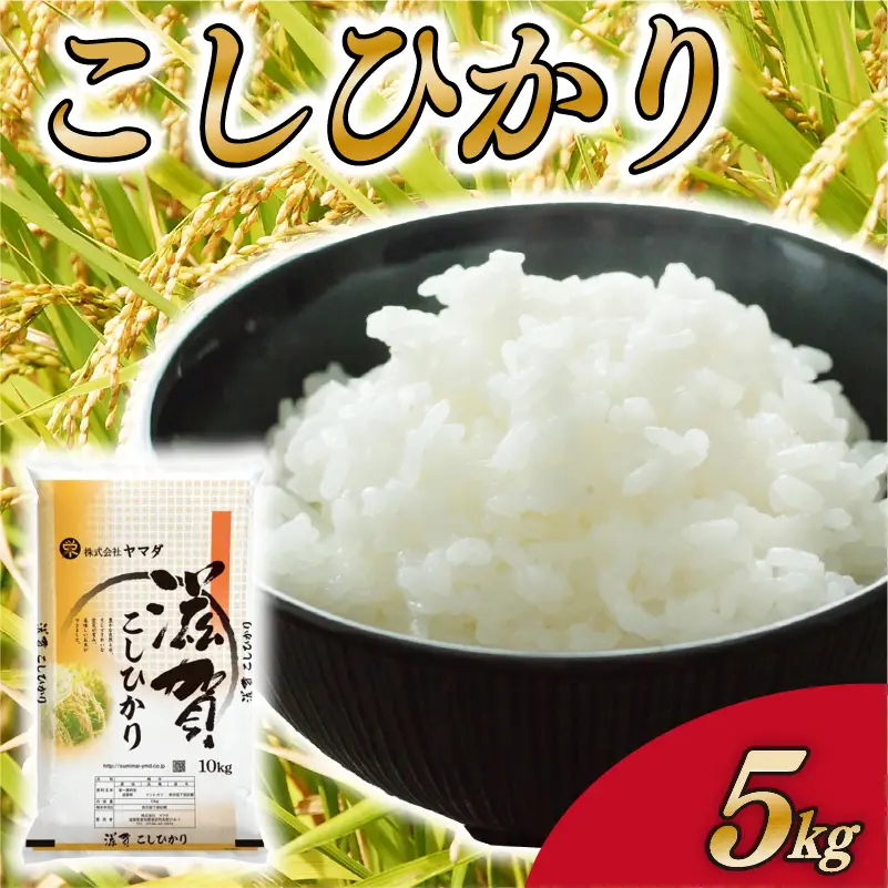 こしひかり 5kg 白米 コシヒカリ 米 こめ ご飯 近江米 お弁当