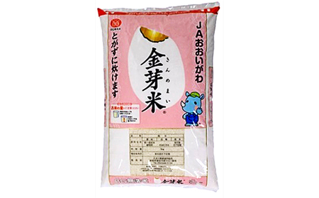 お米 無洗米 静岡県産 JAおおいがわ 金芽米 5kg お米