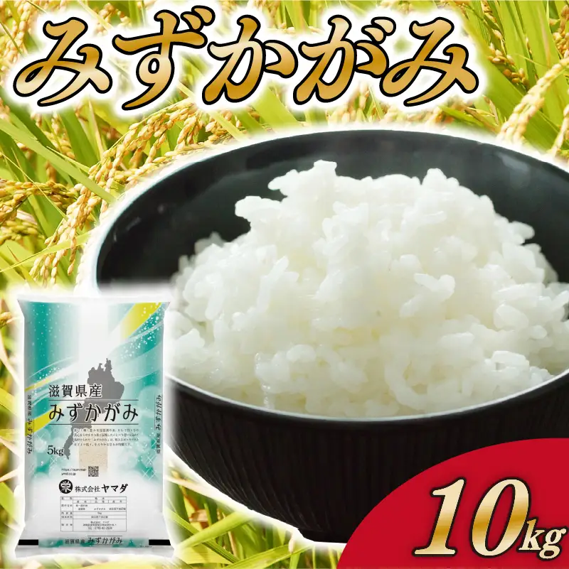 みずかがみ 10kg 白米 米 こめ ご飯 近江米 お弁当