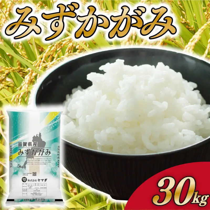 みずかがみ 30kg 白米 米 こめ ご飯 近江米 お弁当
