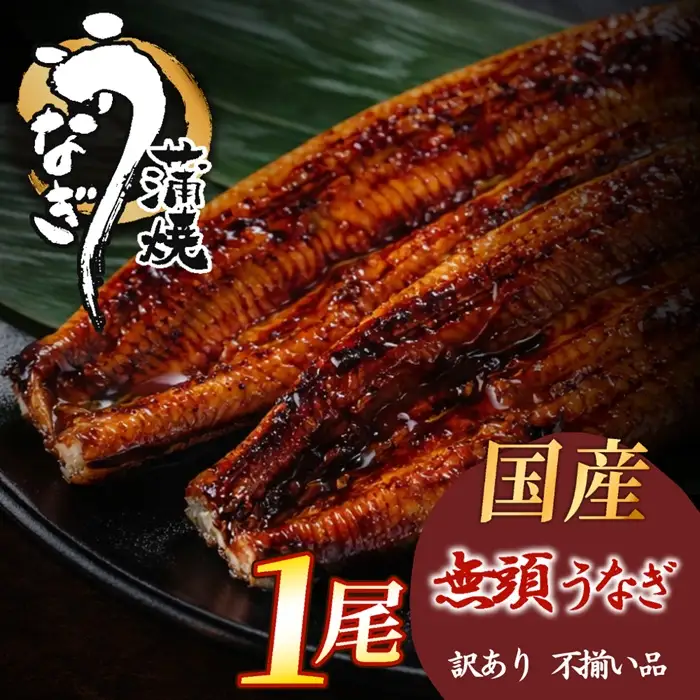 A1767.【不揃い訳あり】うなぎの蒲焼き1尾セット
