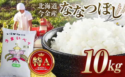 【2026年11月発送】令和8年産 ななつぼし10kg お米 米 10kg 北海道 北海道産 ななつぼし  F21X-637