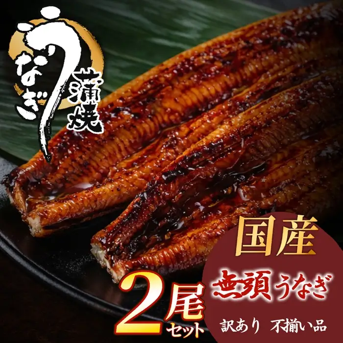AD308.【不揃い訳あり】うなぎの蒲焼き2尾セット