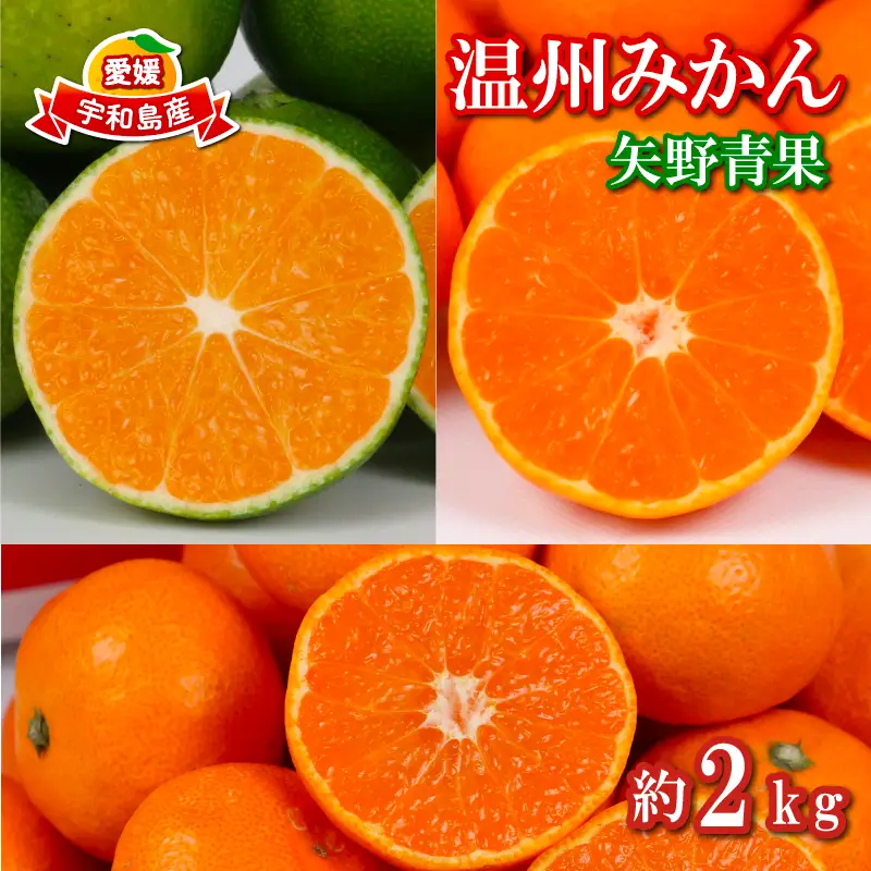 温州みかん 小玉 中玉 2kg 矢野青果 温州みかん B008-171045
