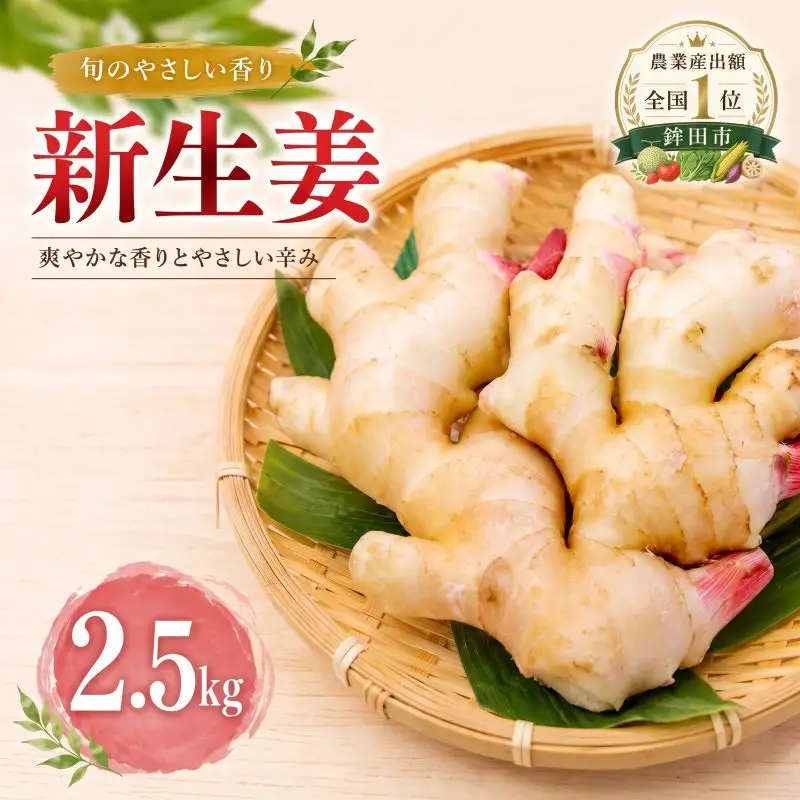 新生姜 2.5kg しょうが 生姜 新生姜
