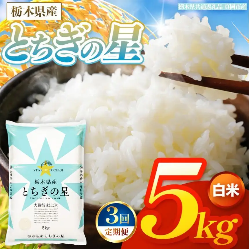 【令和8年産 新米】 【定期便3回】栃木県産 お米 とちぎの星　（白米） 5kg 【2026年秋以降発送】 |  栃木県 矢板市 【栃木県共通返礼品 真岡市産】