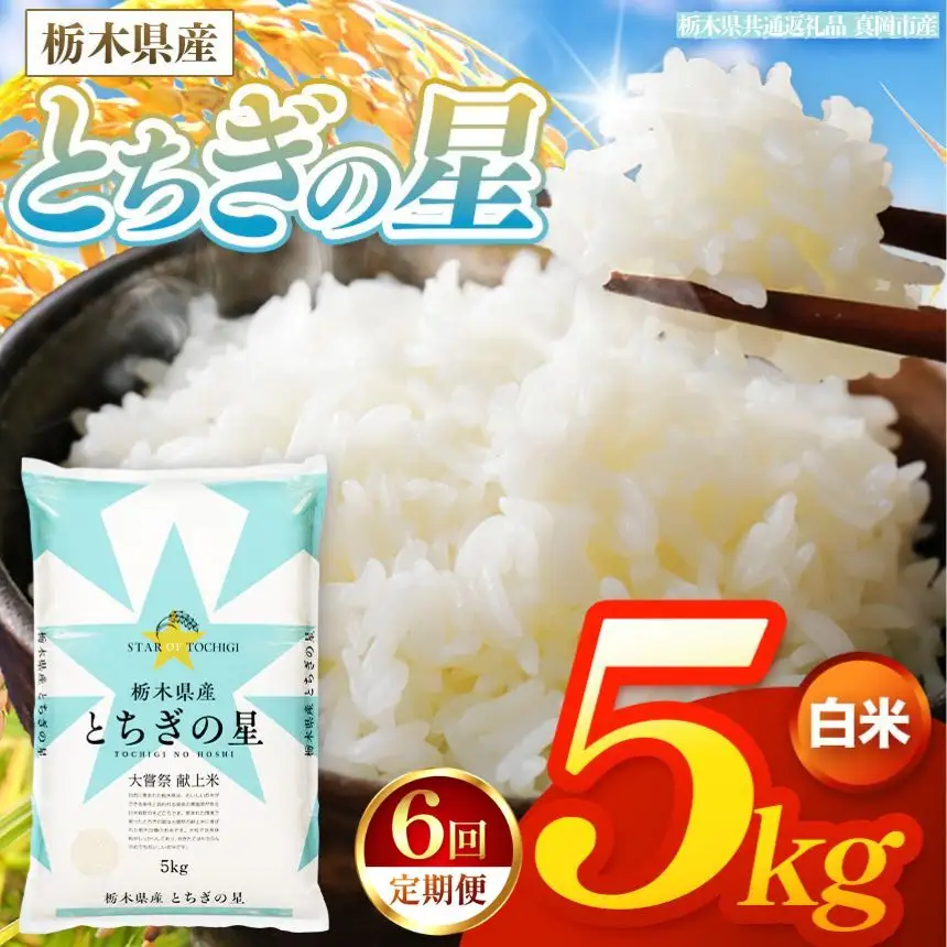 【令和8年産 新米】 【定期便6回】栃木県産 お米 とちぎの星　（白米） 5kg 【2026年秋以降発送】 |  栃木県 矢板市 【栃木県共通返礼品 真岡市産】