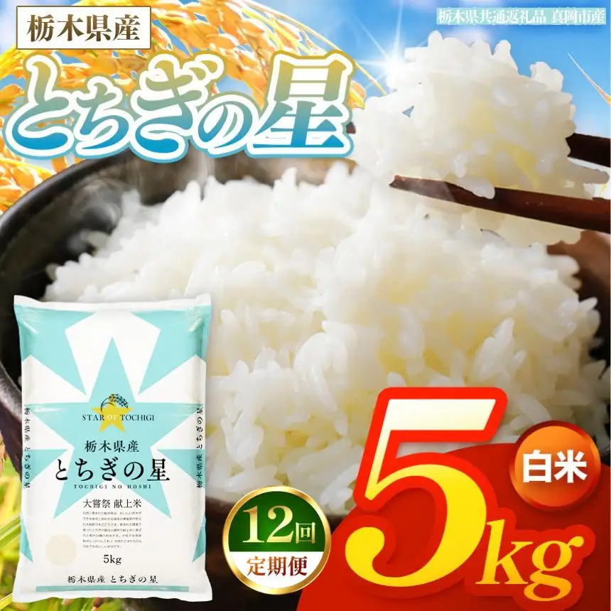 【令和8年産 新米】 【定期便12回】栃木県産 お米 とちぎの星　（白米） 5kg 【2026年秋以降発送】 |  栃木県 矢板市 【栃木県共通返礼品 真岡市産】