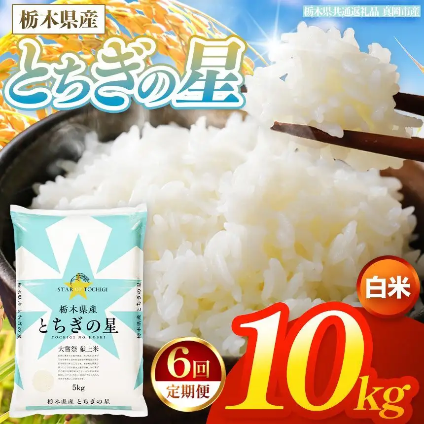 【令和8年産 新米】 【定期便6回】栃木県産 お米 とちぎの星　（白米） 10kg 【2026年秋以降発送】 |  栃木県 矢板市 【栃木県共通返礼品 真岡市産】