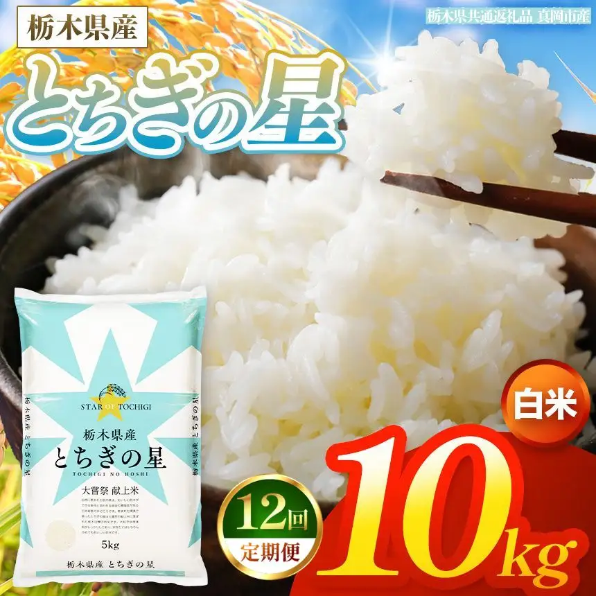 【令和8年産 新米】 【定期便12回】栃木県産 お米 とちぎの星　（白米） 10kg 【2026年秋以降発送】 |  栃木県 矢板市 【栃木県共通返礼品 真岡市産】