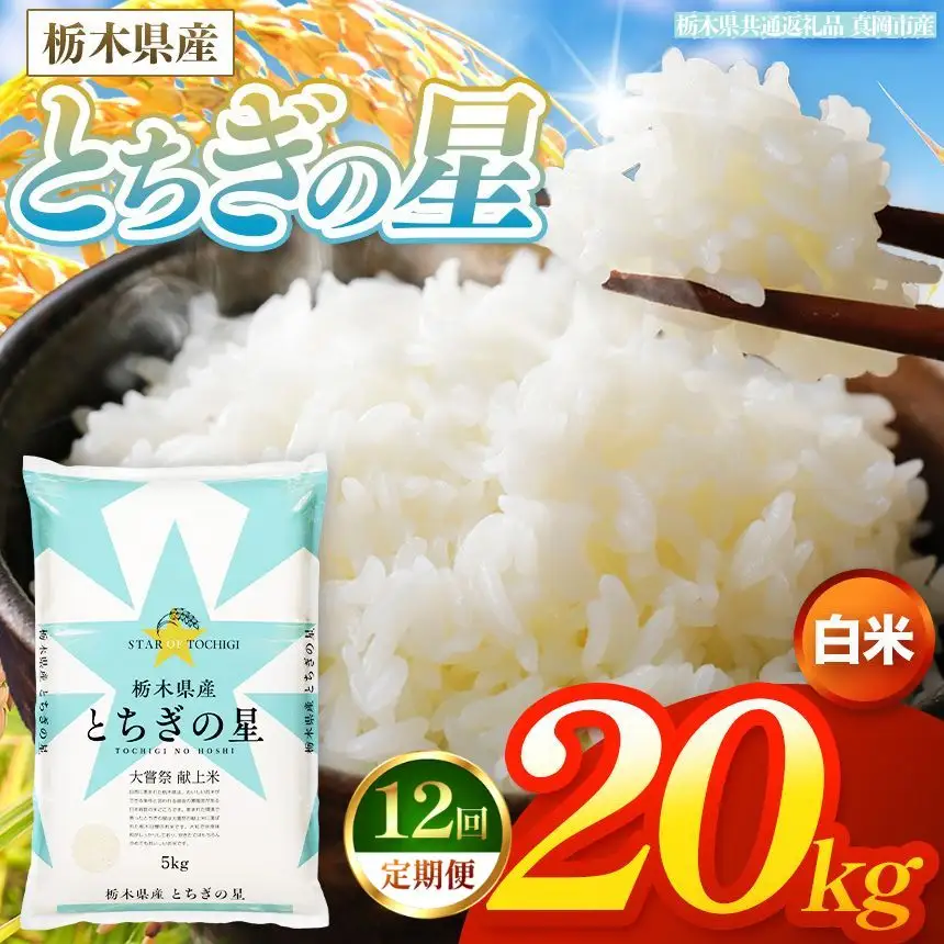【令和8年産 新米】 【定期便12回】栃木県産 お米 とちぎの星　（白米） 20kg 【2026年秋以降発送】 |  栃木県 矢板市 【栃木県共通返礼品 真岡市産】