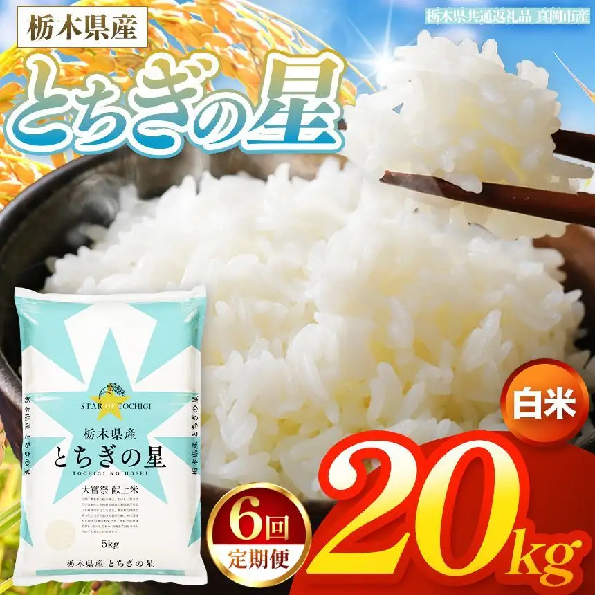 【令和8年産 新米】 【定期便6回】栃木県産 お米 とちぎの星　（白米） 20kg 【2026年秋以降発送】 |  栃木県 矢板市 【栃木県共通返礼品 真岡市産】