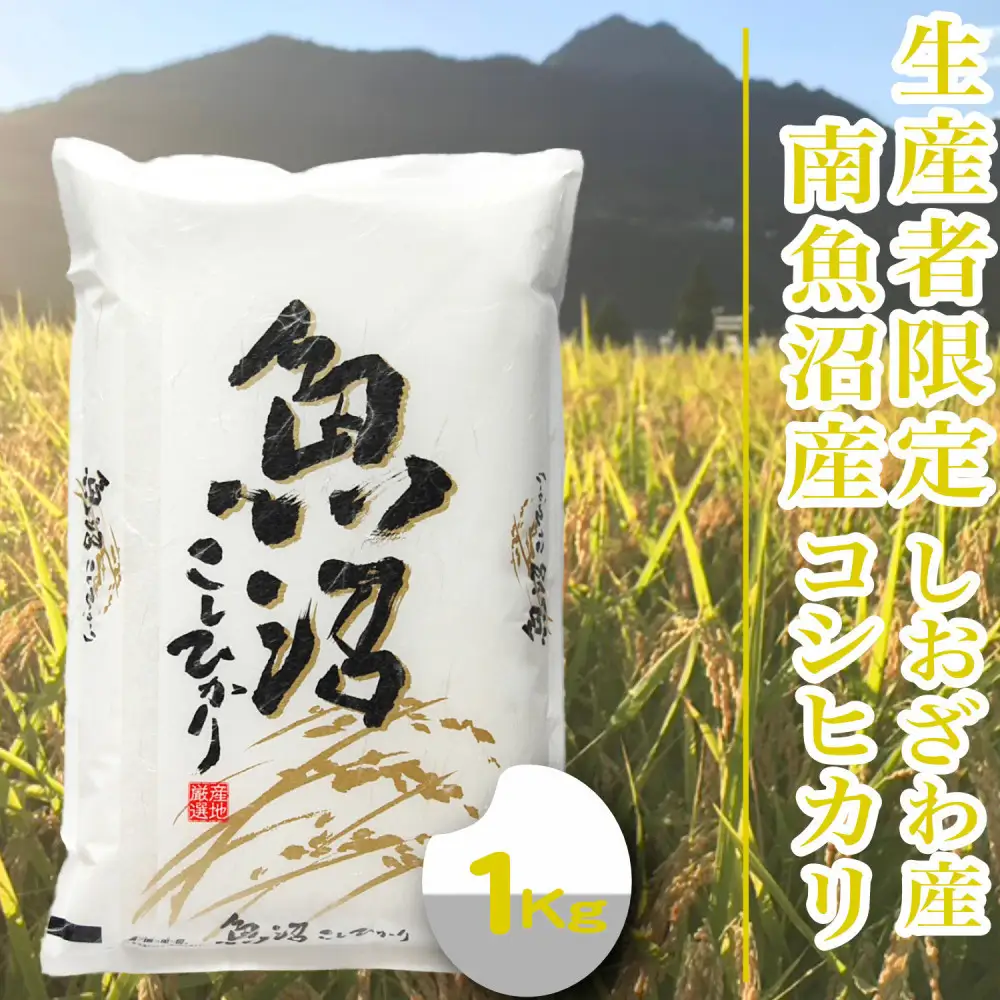 【令和8年産 新米】【1Kg】生産者限定／契約栽培 南魚沼しおざわ産コシヒカリ【銘柄米 精米 こしひかり コシヒカリ 魚沼産 新潟米 お米 米 こめ コメ ご飯 御飯 ごはん】【2026年10月上旬より1ヶ月以内に順次発送予定】