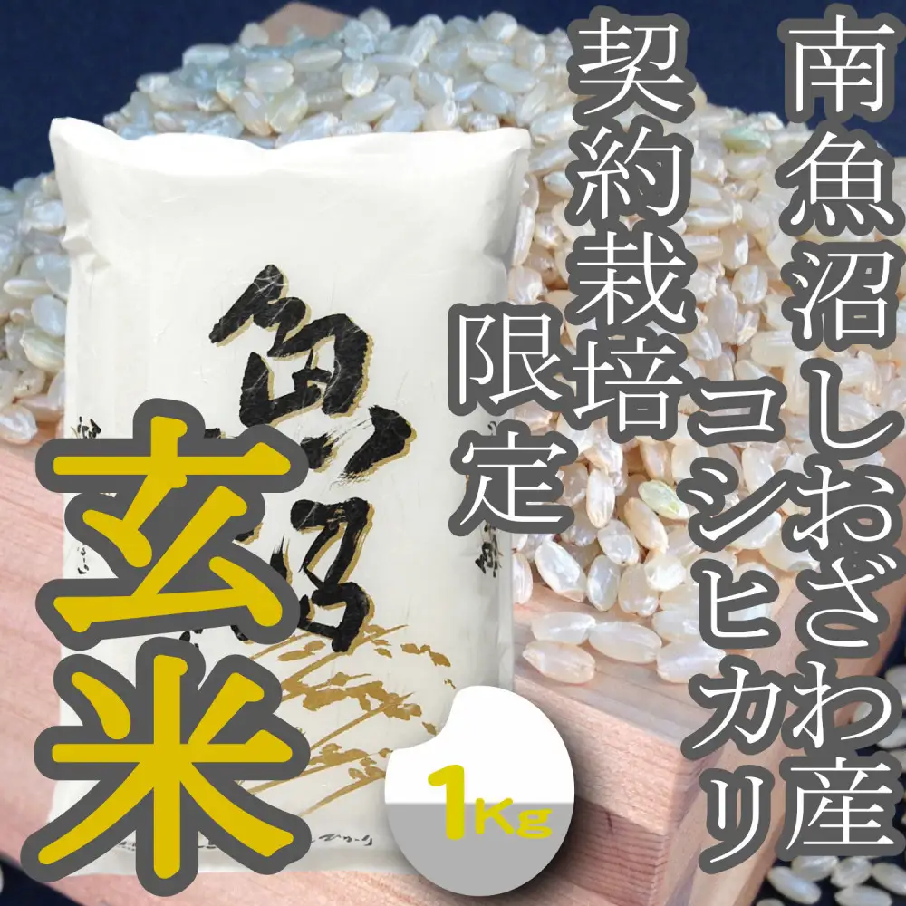 【令和8年産 新米】玄米【1Kg】 生産者限定 南魚沼しおざわ産コシヒカリ【銘柄米 玄米 こしひかり コシヒカリ 魚沼産 新潟米 お米 米 こめ コメ ご飯 御飯 ごはん】【2026年10月上旬より1ヶ月以内に順次発送予定】