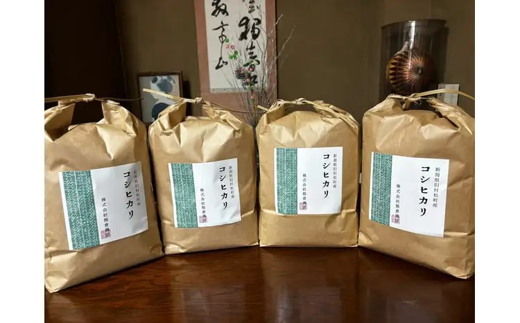 【先行予約】令和8年産〈3回定期便〉 コシヒカリ 旧村松町産 20kg(5kg×4袋) | 新潟産コシヒカリ 新潟県産コシヒカリ 新潟県産こしひかり 米 お米 こしひかり 新潟県 五泉市 株式会社熊倉商店