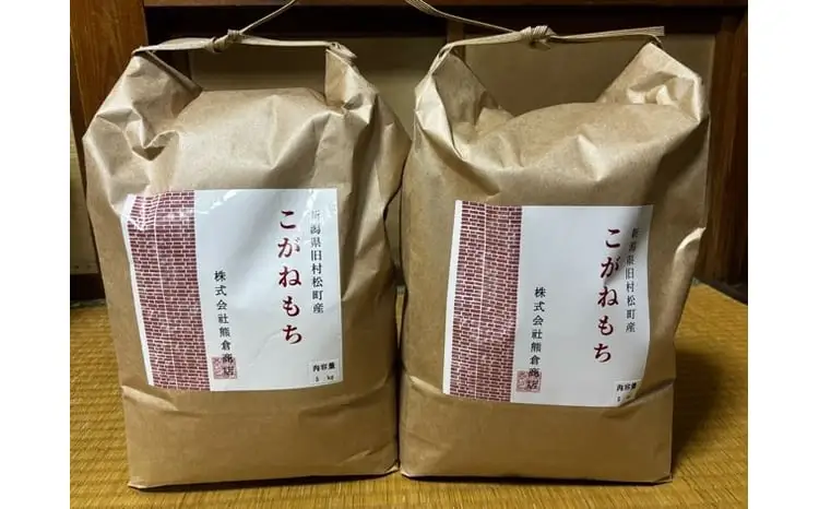 令和7年産 旧村松町産 こがねもち 10kg(5kg×2袋) 新潟県 五泉市 株式会社熊倉商店