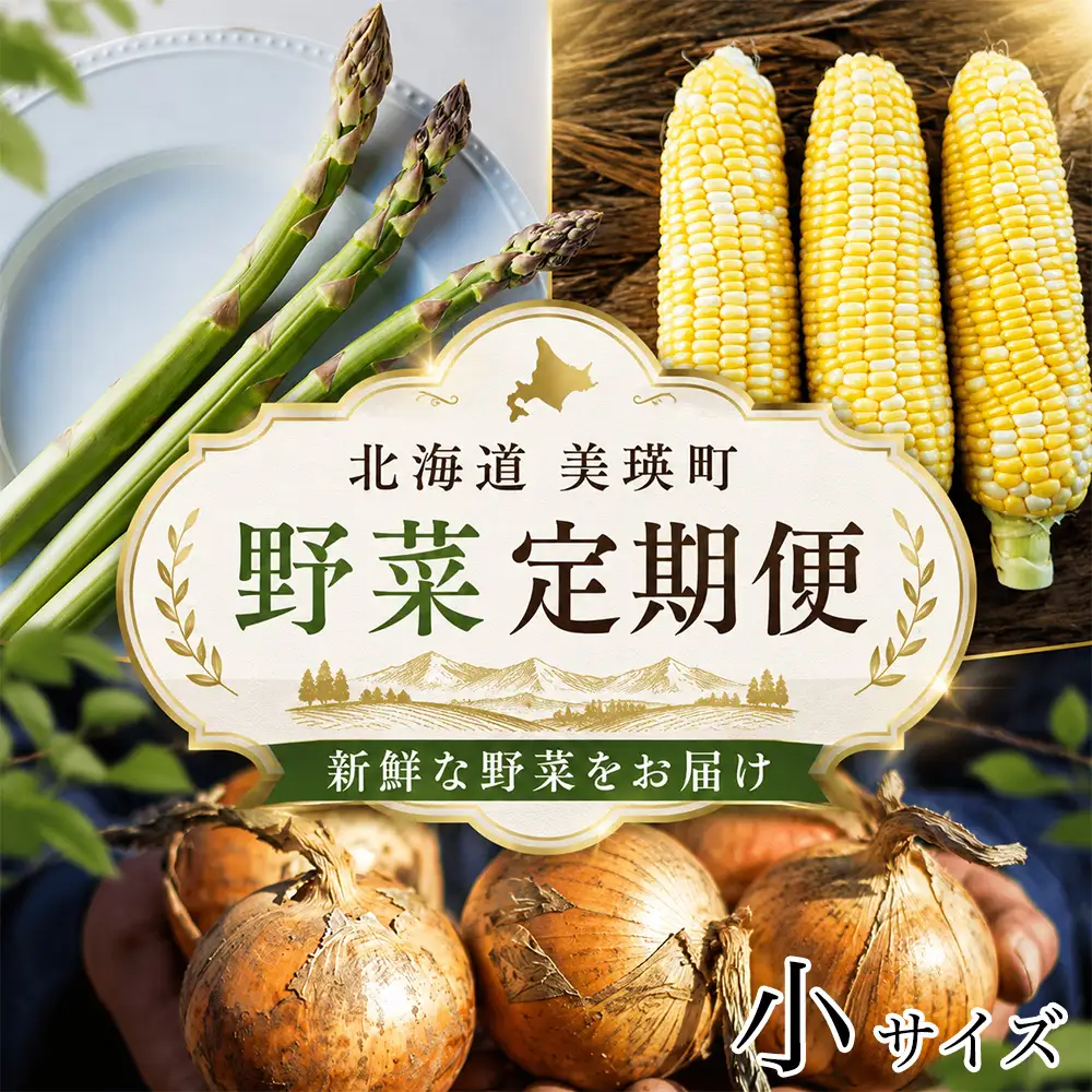 野菜定期便 3回便【令和9年産先行予約】本山農場の野菜定期便（小）野菜 セット