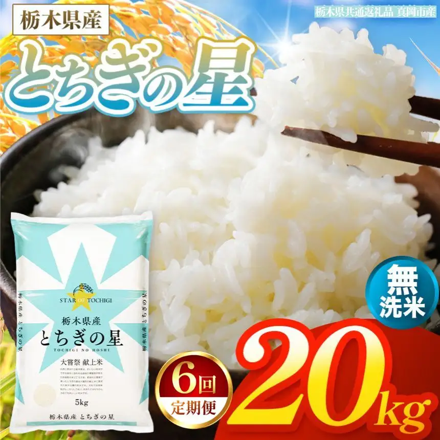 【令和8年産 新米】 【定期便6回】栃木県産 お米 とちぎの星　（無洗米） 20kg 【2026年秋以降発送】 |  栃木県 矢板市 【栃木県共通返礼品 真岡市産】