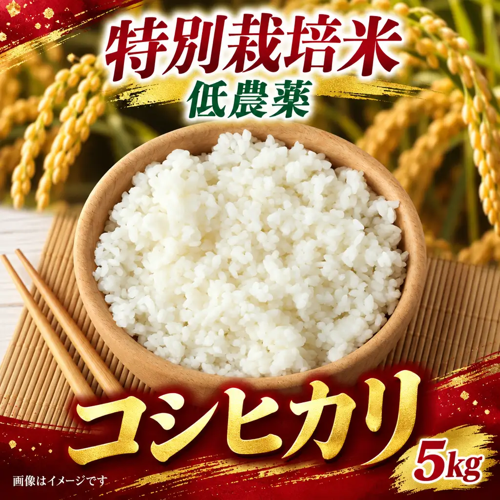 新米 コシヒカリ 5kg 特別栽培米 [BSEO006-f]