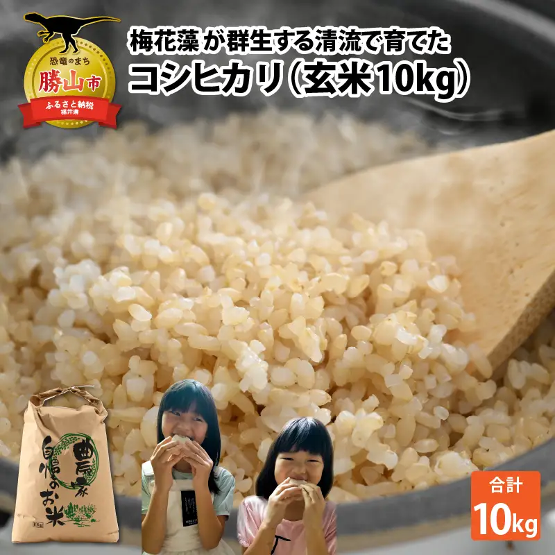 米 令和8年産 コシヒカリ玄米 10kg [A-040030]