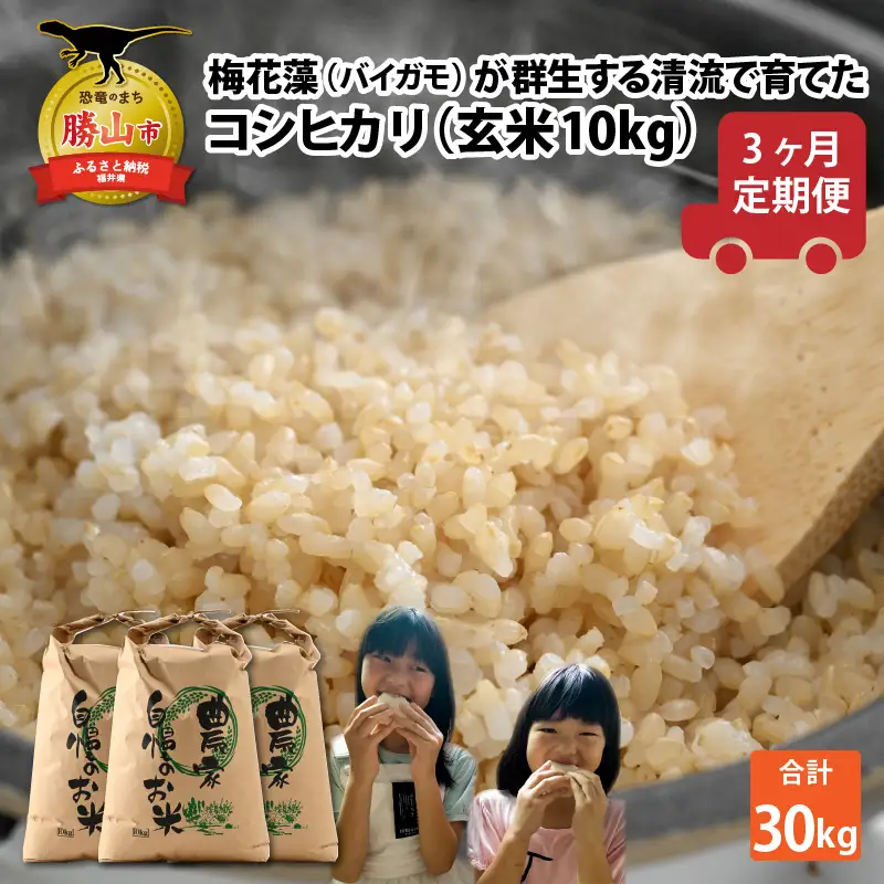 米 令和8年産 コシヒカリ玄米 定期便 10kg×3回[C-040009]