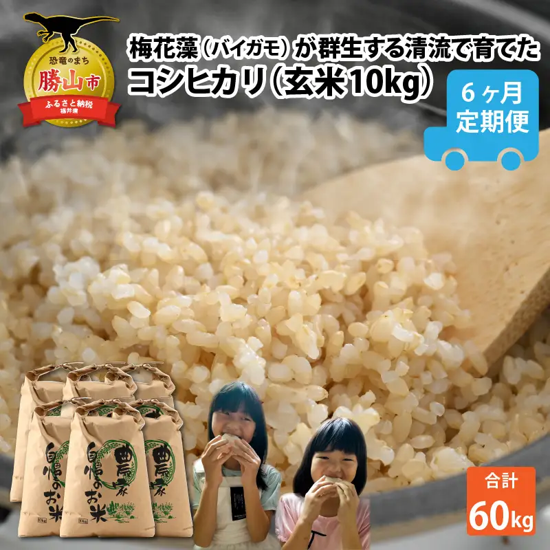 米 令和8年産 コシヒカリ 玄米 定期便 10kg×6回[G-040001]