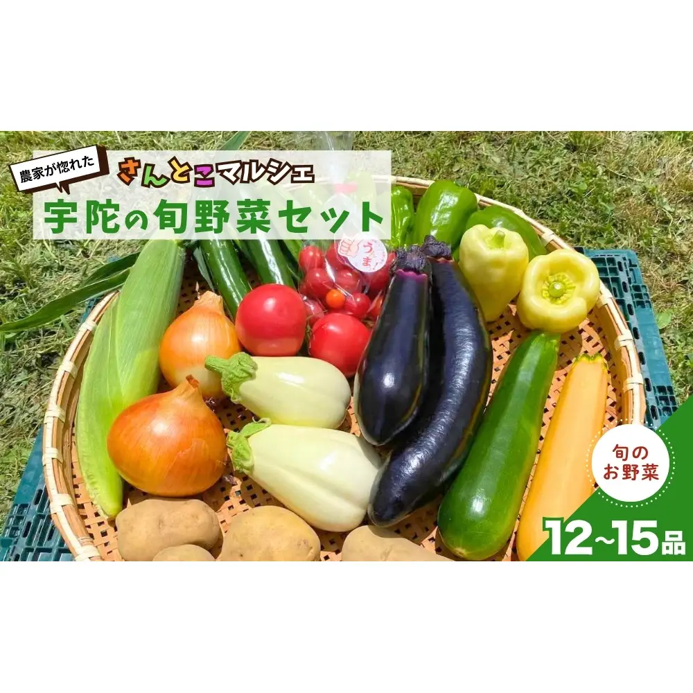 農家が惚れた「さんとこマルシェ」旬野菜セット（12-15品） / サムズアップ農園 農家 さんとこマルシェ ふるさと納税 ベジタリアン 野菜セット 旬の野菜 詰め合わせ 奈良県 宇陀市 