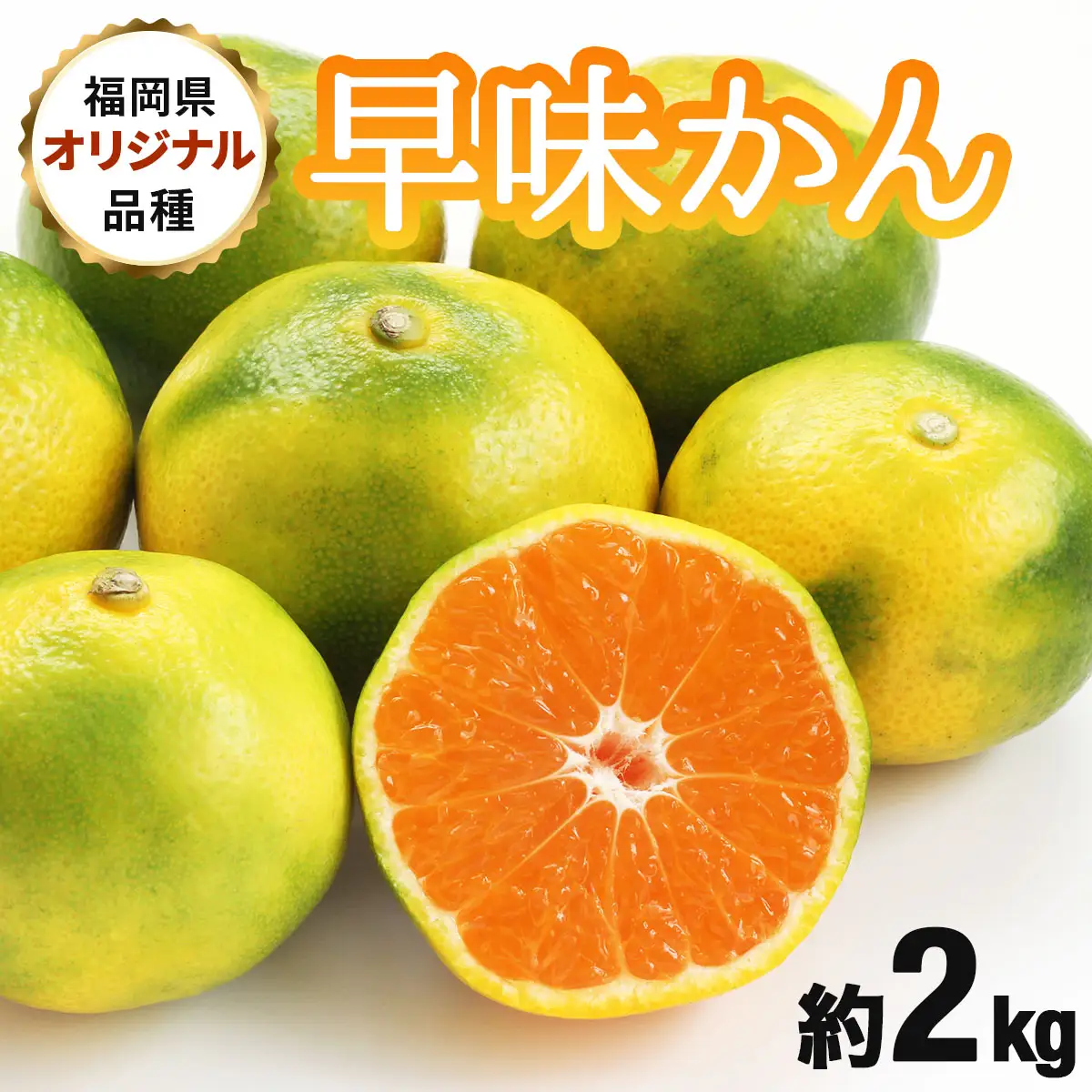 【先行予約】福岡限定!オリジナルブランドみかん「早味かん」約2kg(篠栗町)【NF003】
