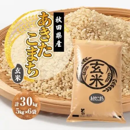 【毎月定期便】あきたこまち 玄米 30kg(5kg×6袋)全12回【配送不可地域：離島・沖縄県】【4090635】